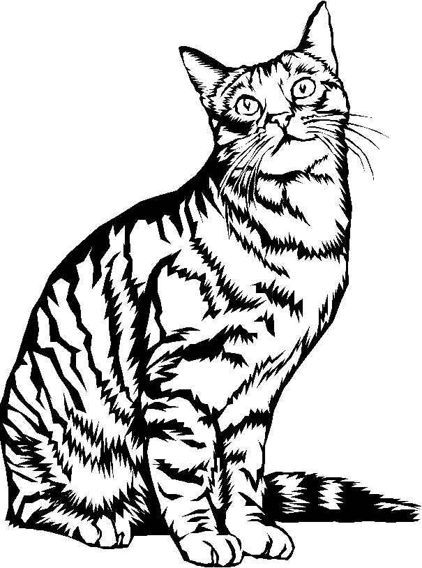 Página para colorir: Gatinho (animais) #18148 - Páginas para Colorir Imprimíveis Gratuitamente