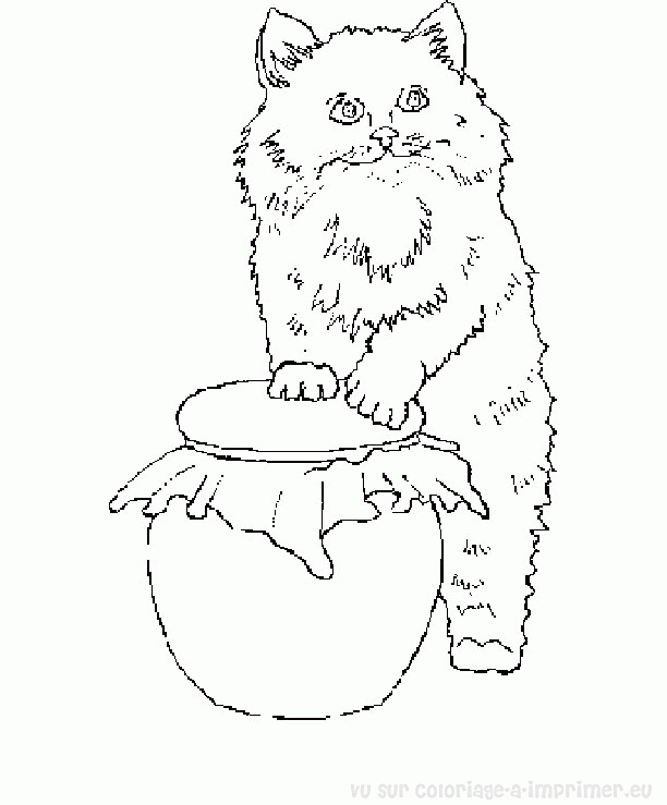 Página para colorir: Gatinho (animais) #18172 - Páginas para Colorir Imprimíveis Gratuitamente