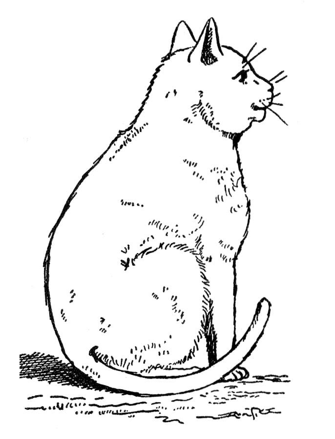 Desenho gratuito Gato #174951 da colecao Animais para imprimir