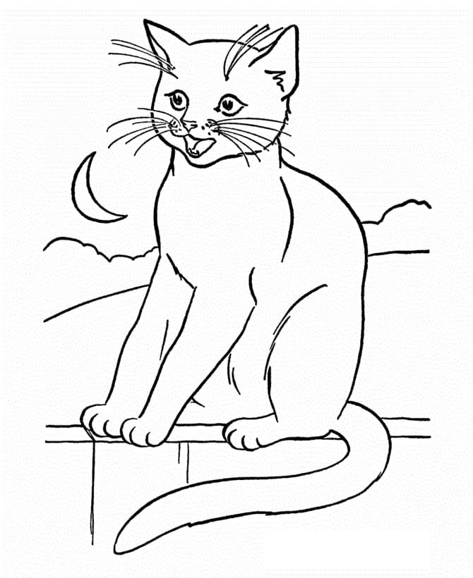 Desenho gratuito Gato #174954 da colecao Animais para imprimir
