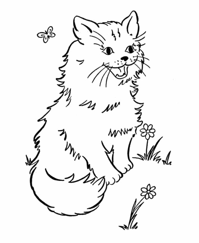 Desenho gratuito Gato #174963 da colecao Animais para imprimir