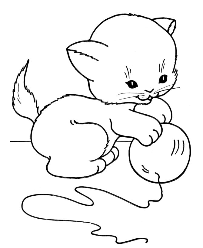 Desenho gratuito Gato #174973 da colecao Animais para imprimir