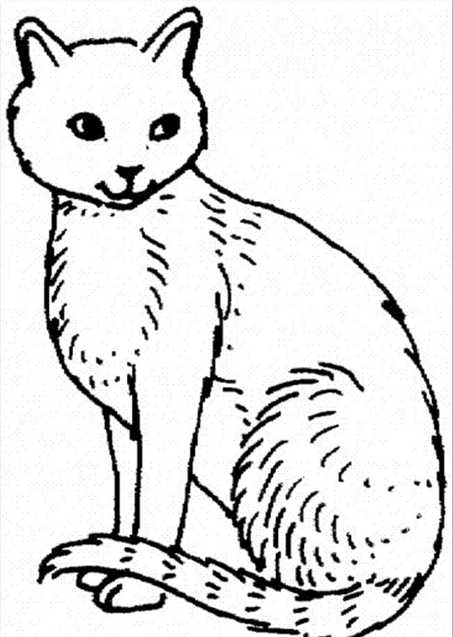 Desenho gratuito Gato #174988 da colecao Animais para imprimir