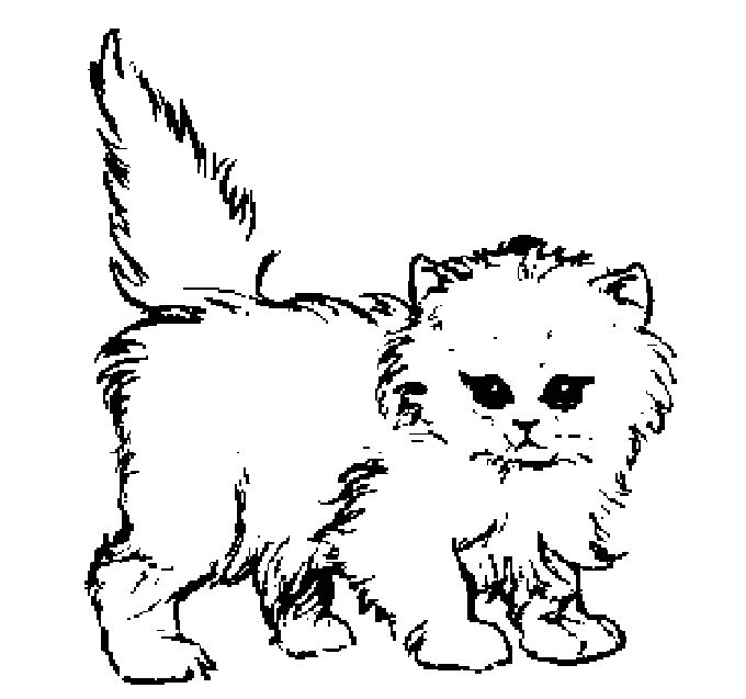 Página para colorir: Gato (animais) #1770 - Páginas para Colorir Imprimíveis Gratuitamente