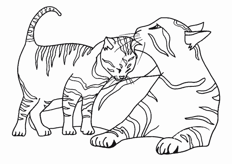 Página para colorir: Gato (animais) #1776 - Páginas para Colorir Imprimíveis Gratuitamente