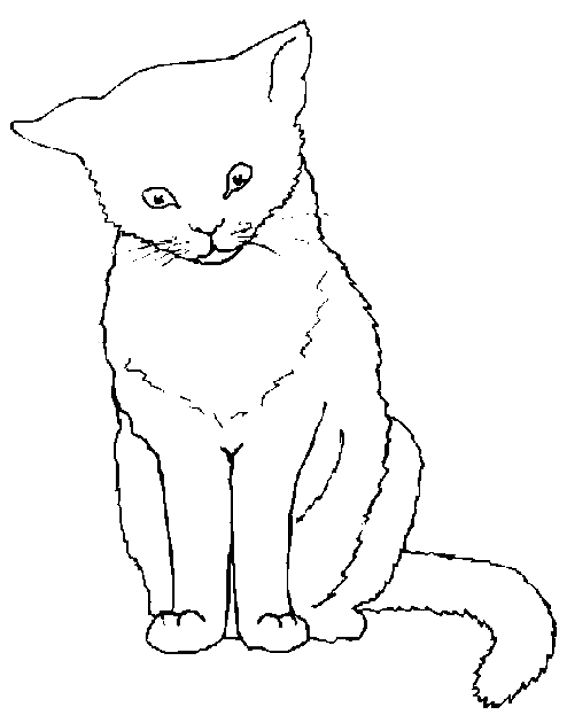 Página para colorir: Gato (animais) #1783 - Páginas para Colorir Imprimíveis Gratuitamente