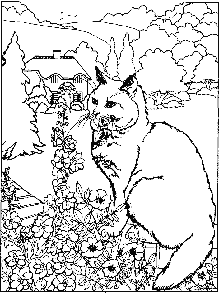 Página para colorir: Gato (animais) #1790 - Páginas para Colorir Imprimíveis Gratuitamente