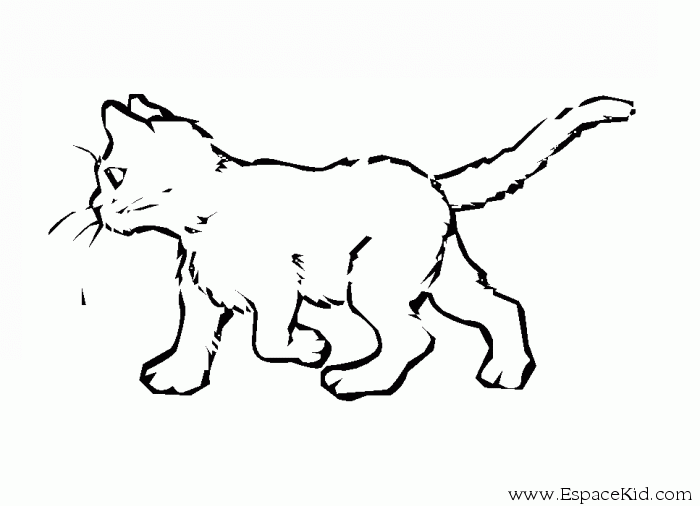 Página para colorir: Gato (animais) #1812 - Páginas para Colorir Imprimíveis Gratuitamente