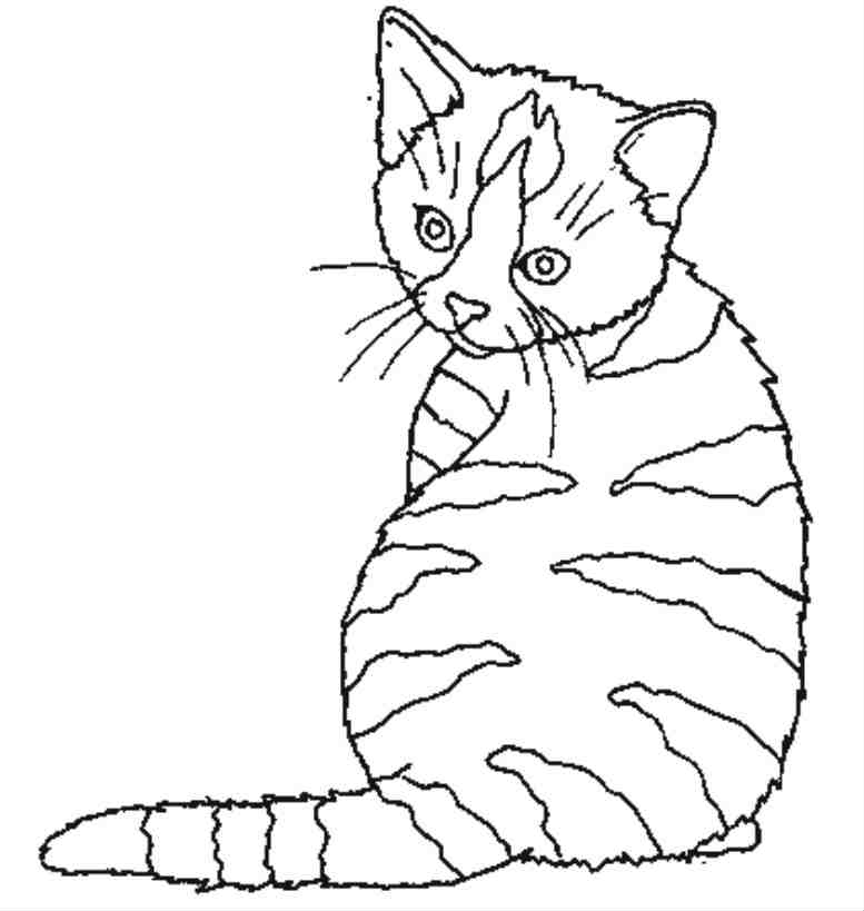 Página para colorir: Gato (animais) #1843 - Páginas para Colorir Imprimíveis Gratuitamente