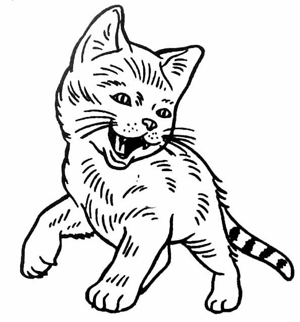 Página para colorir: Gato (animais) #1904 - Páginas para Colorir Imprimíveis Gratuitamente