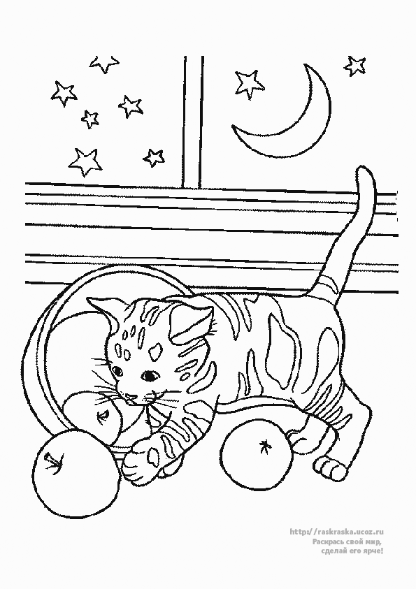 Página para colorir: Gato (animais) #1946 - Páginas para Colorir Imprimíveis Gratuitamente