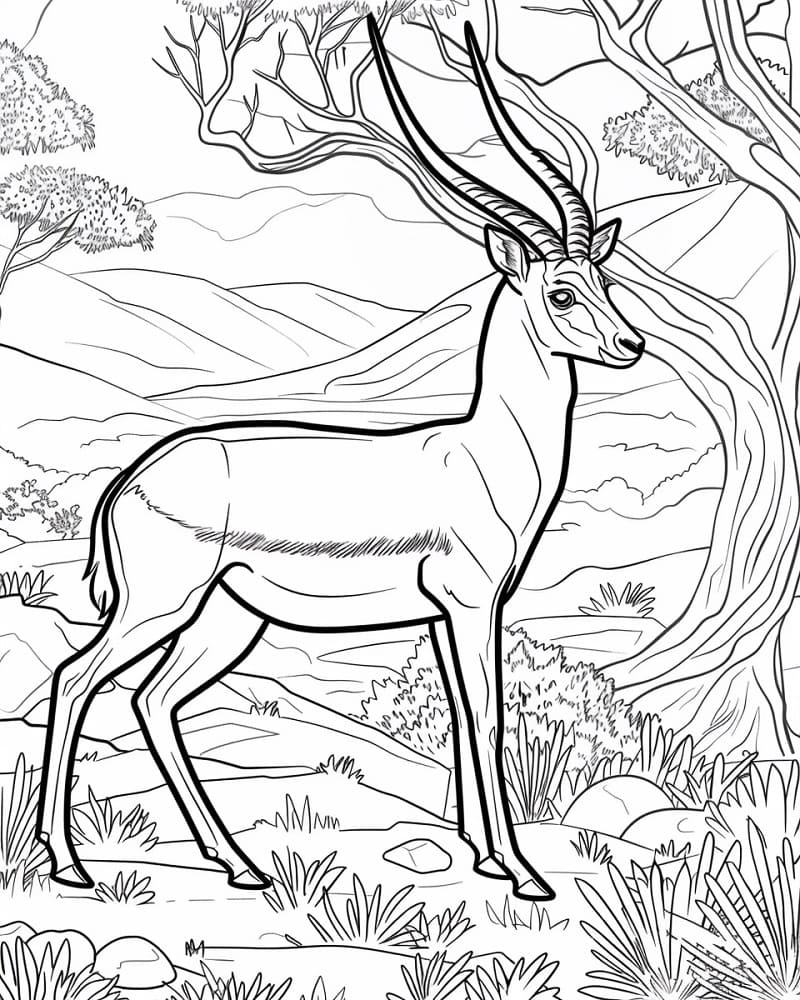 Desenho gratuito Gazela #219904 da colecao Animais para imprimir