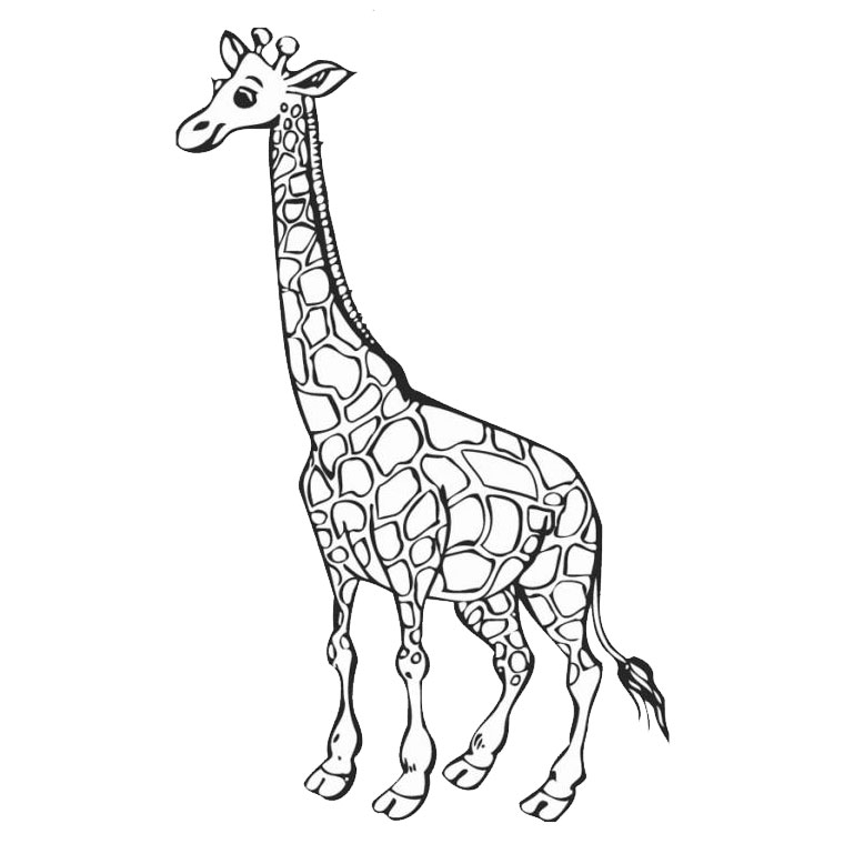 Página para colorir: Girafa (animais) #7226 - Páginas para Colorir Imprimíveis Gratuitamente