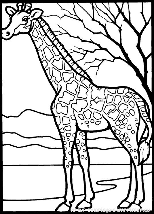 Página para colorir: Girafa (animais) #7231 - Páginas para Colorir Imprimíveis Gratuitamente