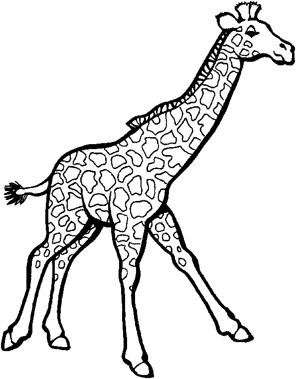 Página para colorir: Girafa (animais) #7246 - Páginas para Colorir Imprimíveis Gratuitamente