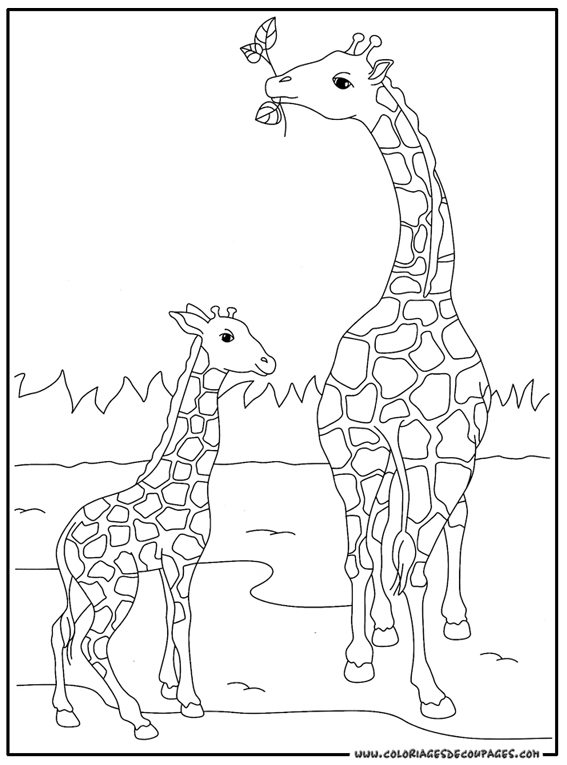 Página para colorir: Girafa (animais) #7248 - Páginas para Colorir Imprimíveis Gratuitamente