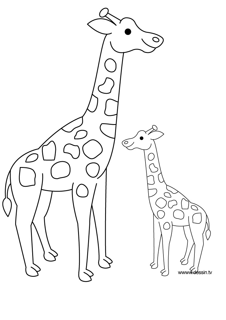 Página para colorir: Girafa (animais) #7259 - Páginas para Colorir Imprimíveis Gratuitamente
