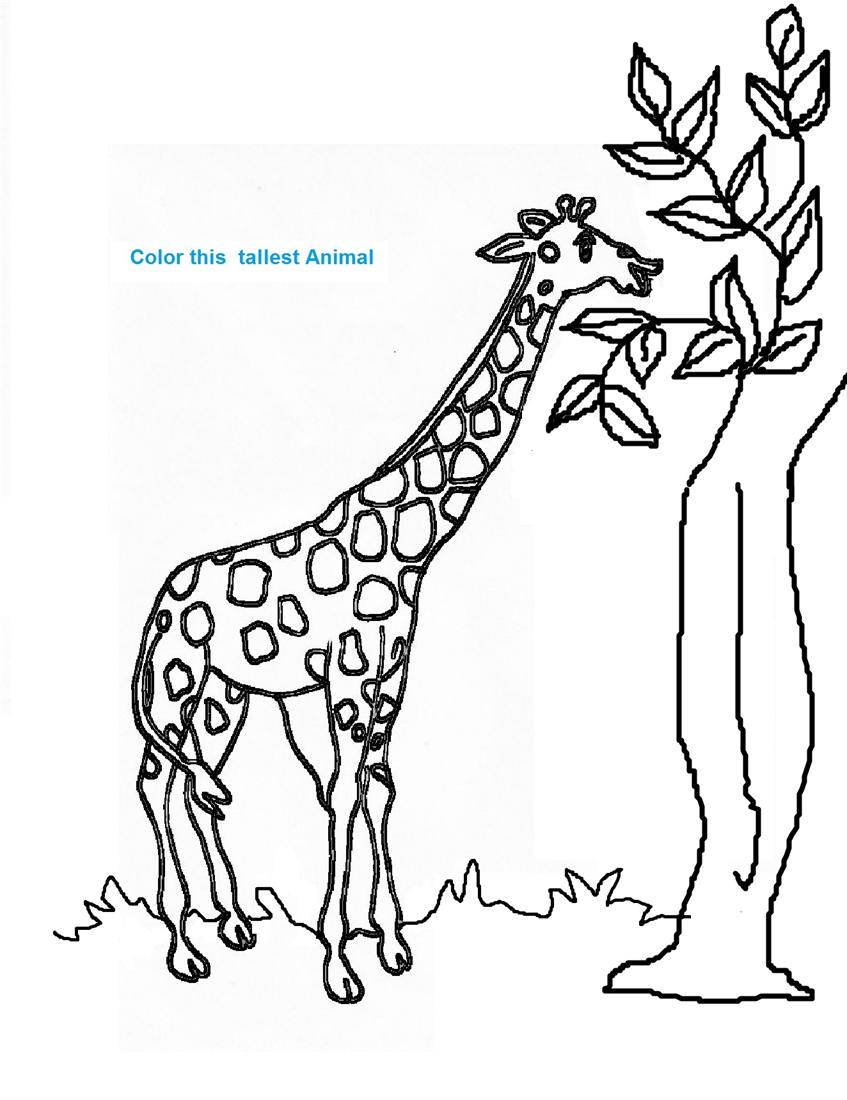 Página para colorir: Girafa (animais) #7265 - Páginas para Colorir Imprimíveis Gratuitamente
