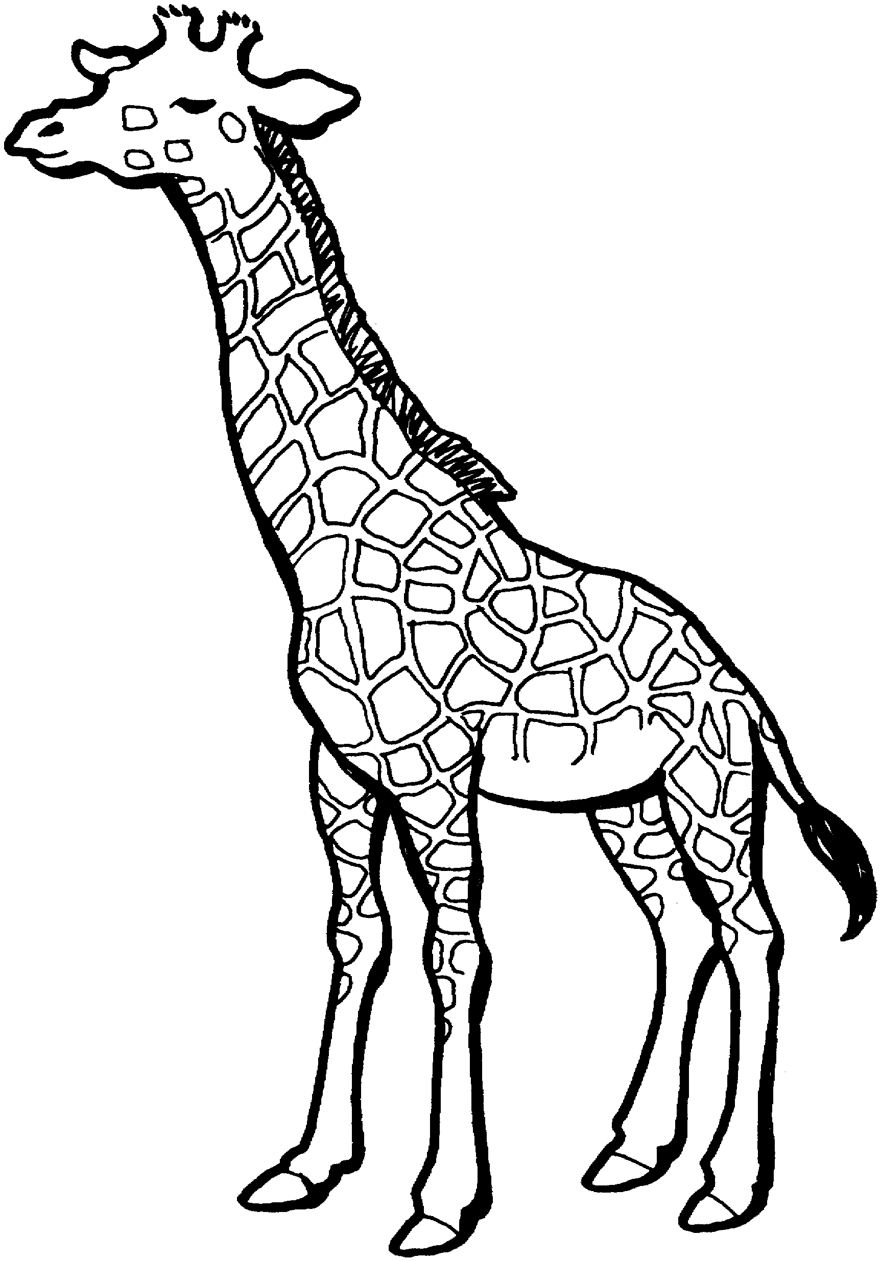 Página para colorir: Girafa (animais) #7291 - Páginas para Colorir Imprimíveis Gratuitamente