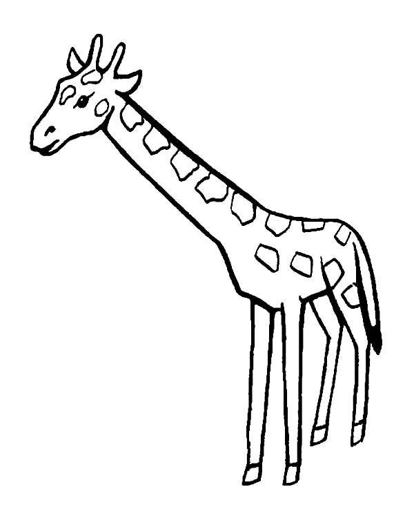 Página para colorir: Girafa (animais) #7351 - Páginas para Colorir Imprimíveis Gratuitamente