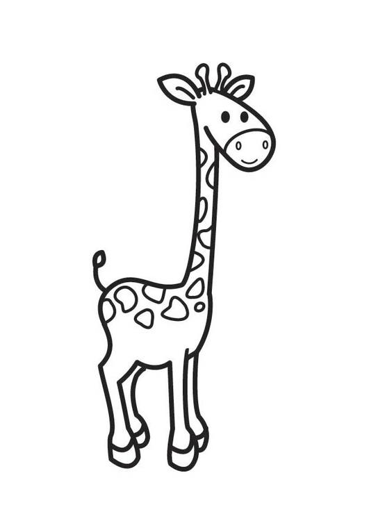 Página para colorir: Girafa (animais) #7357 - Páginas para Colorir Imprimíveis Gratuitamente