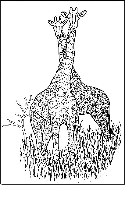 Página para colorir: Girafa (animais) #7365 - Páginas para Colorir Imprimíveis Gratuitamente