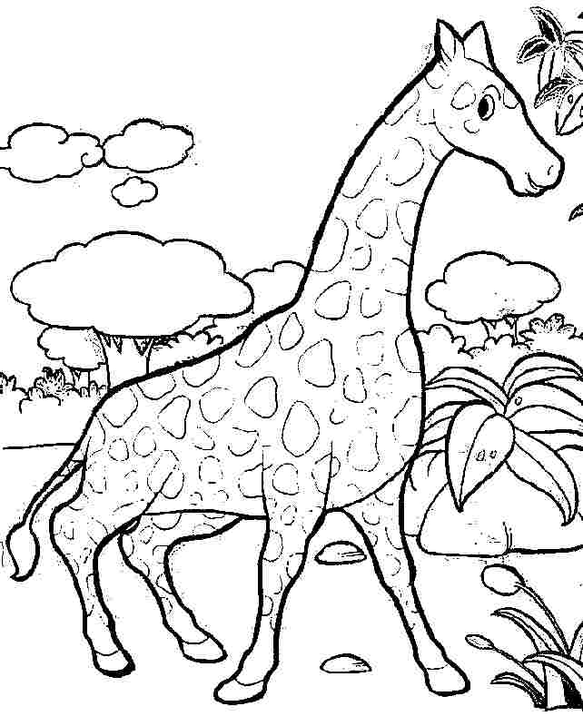 Página para colorir: Girafa (animais) #7380 - Páginas para Colorir Imprimíveis Gratuitamente