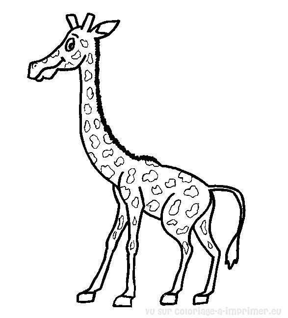 Página para colorir: Girafa (animais) #7386 - Páginas para Colorir Imprimíveis Gratuitamente