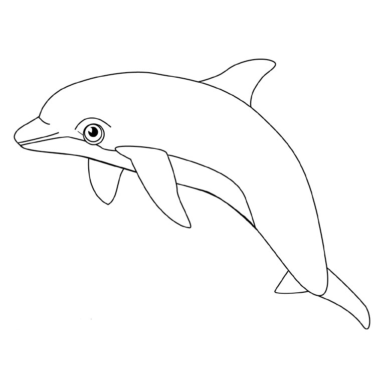 Página para colorir: Golfinho (animais) #5096 - Páginas para Colorir Imprimíveis Gratuitamente