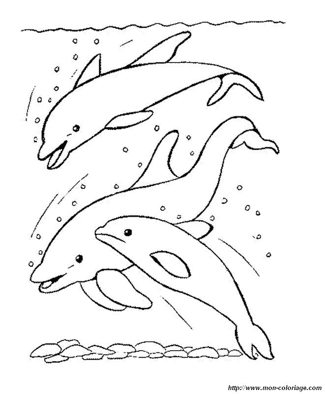 Página para colorir: Golfinho (animais) #5251 - Páginas para Colorir Imprimíveis Gratuitamente