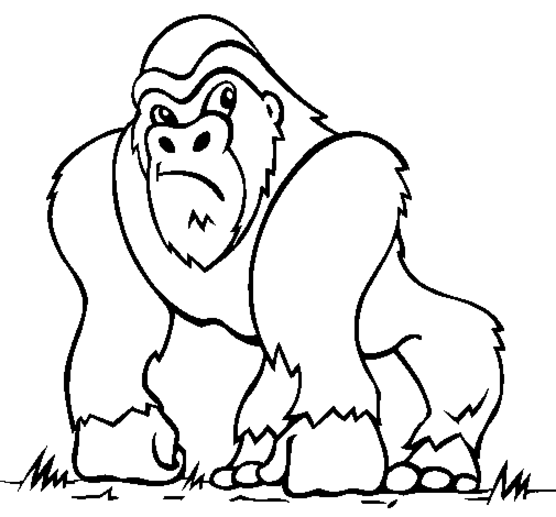 Página para colorir: Gorila (animais) #7420 - Páginas para Colorir Imprimíveis Gratuitamente