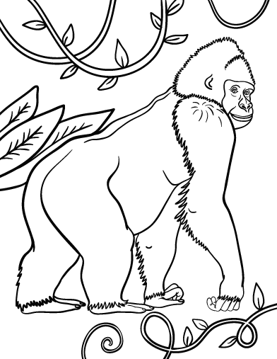 Página para colorir: Gorila (animais) #7442 - Páginas para Colorir Imprimíveis Gratuitamente