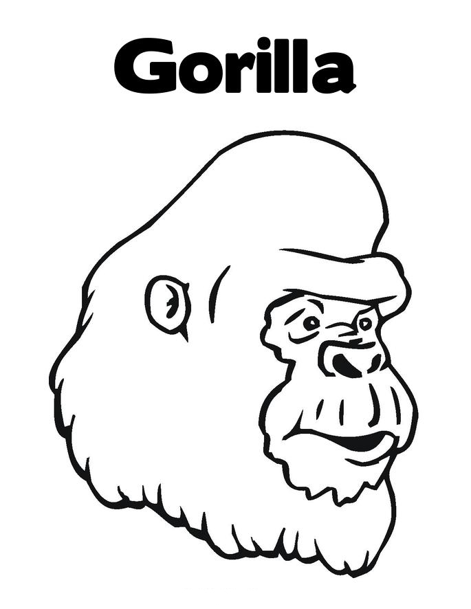 Página para colorir: Gorila (animais) #7443 - Páginas para Colorir Imprimíveis Gratuitamente