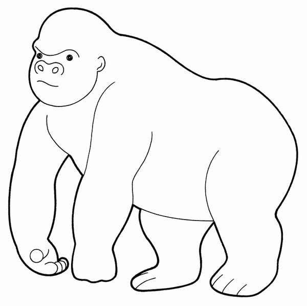 Página para colorir: Gorila (animais) #7447 - Páginas para Colorir Imprimíveis Gratuitamente