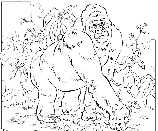 Página para colorir: Gorila (animais) #7455 - Páginas para Colorir Imprimíveis Gratuitamente