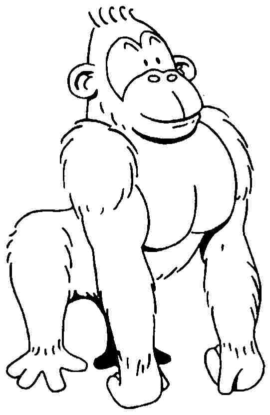 Página para colorir: Gorila (animais) #7495 - Páginas para Colorir Imprimíveis Gratuitamente