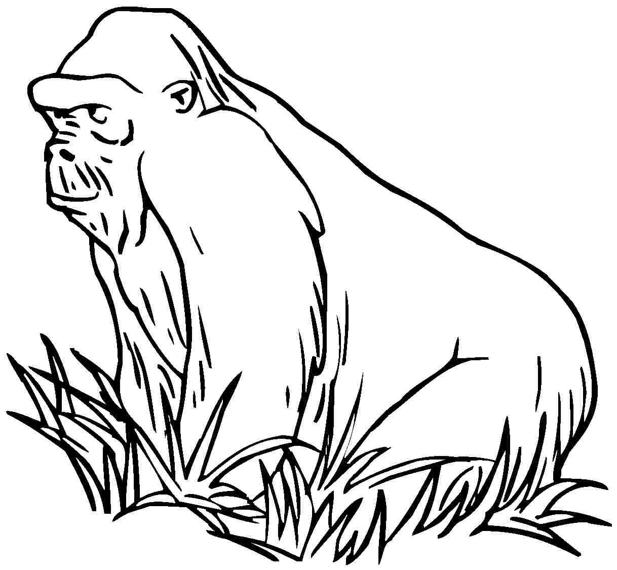 Página para colorir: Gorila (animais) #7514 - Páginas para Colorir Imprimíveis Gratuitamente