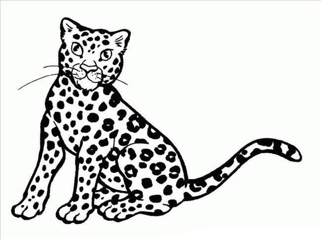 Desenho gratuito Guepardo #188875 da colecao Animais para imprimir