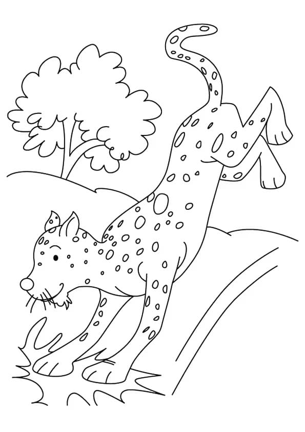 Desenho gratuito Guepardo #188883 da colecao Animais para imprimir