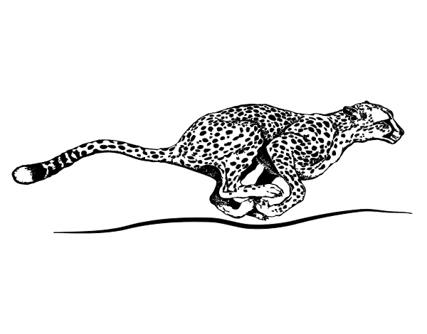 Página para colorir: guepardo (animais) #7879 - Páginas para Colorir Imprimíveis Gratuitamente