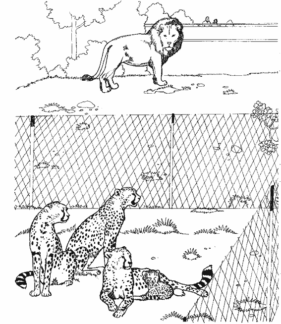 Página para colorir: guepardo (animais) #7925 - Páginas para Colorir Imprimíveis Gratuitamente