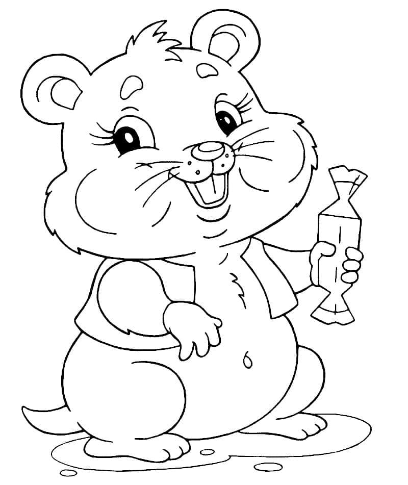 Desenho gratuito Hamster #188808 da colecao Animais para imprimir