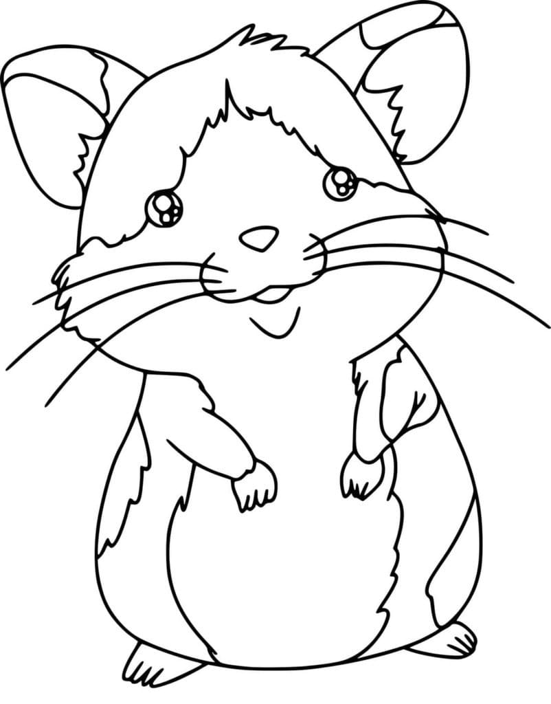 Desenho gratuito Hamster #188819 da colecao Animais para imprimir