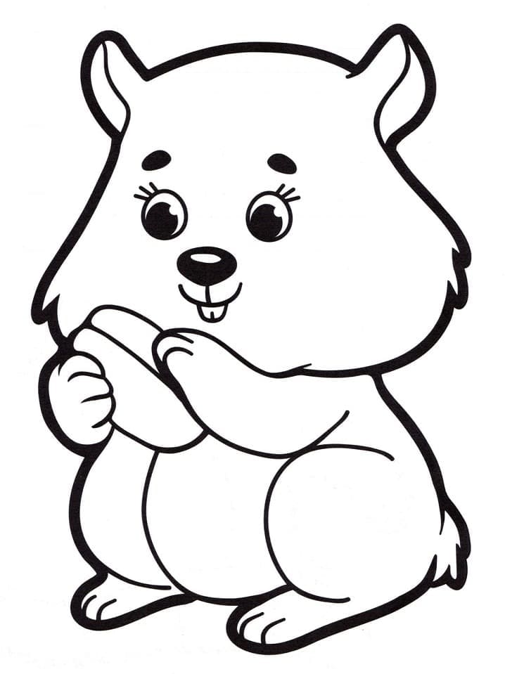 Desenho gratuito Hamster #188842 da colecao Animais para imprimir