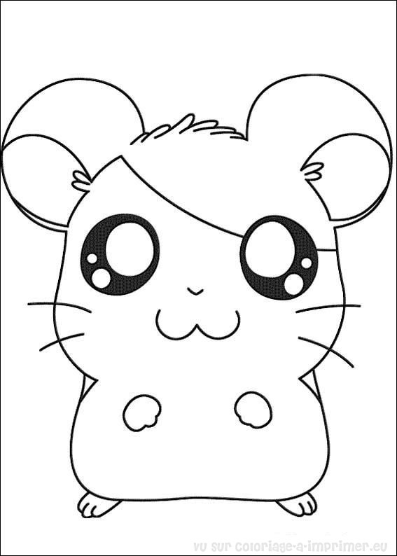 Página para colorir: hamster (animais) #8020 - Páginas para Colorir Imprimíveis Gratuitamente