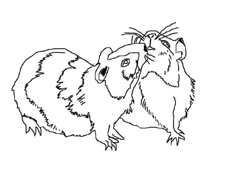 Página para colorir: hamster (animais) #8023 - Páginas para Colorir Imprimíveis Gratuitamente