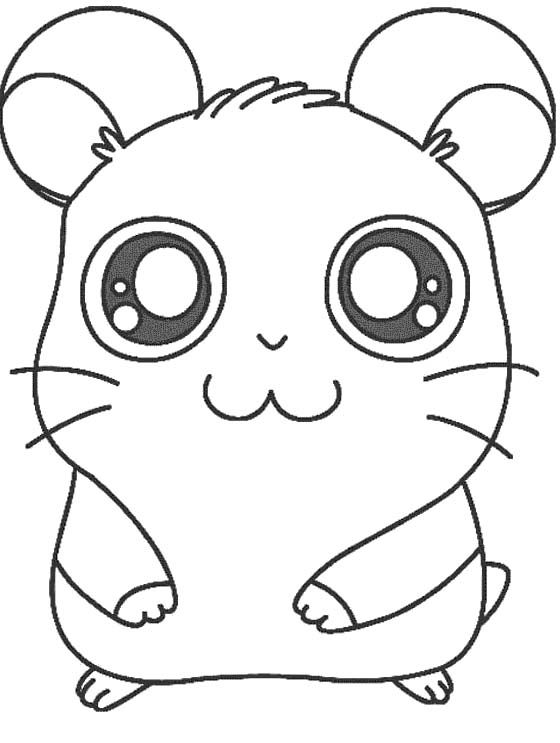 Página para colorir: hamster (animais) #8043 - Páginas para Colorir Imprimíveis Gratuitamente