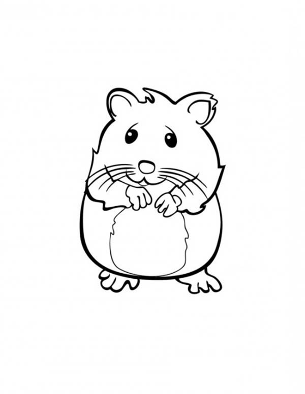 Página para colorir: hamster (animais) #8052 - Páginas para Colorir Imprimíveis Gratuitamente