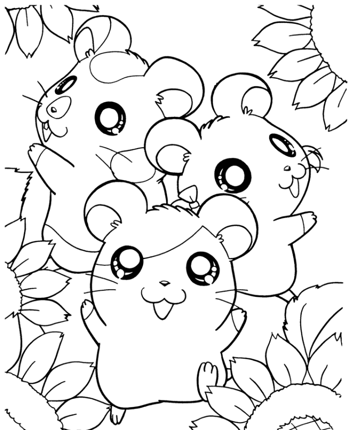 Página para colorir: hamster (animais) #8062 - Páginas para Colorir Imprimíveis Gratuitamente