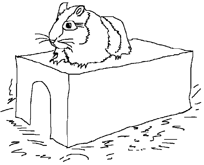 Página para colorir: hamster (animais) #8066 - Páginas para Colorir Imprimíveis Gratuitamente